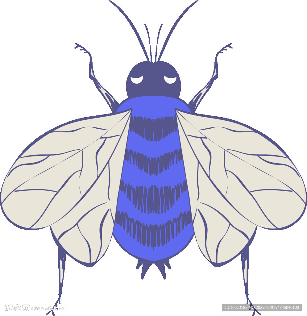 藍色條紋飛蟲插畫
