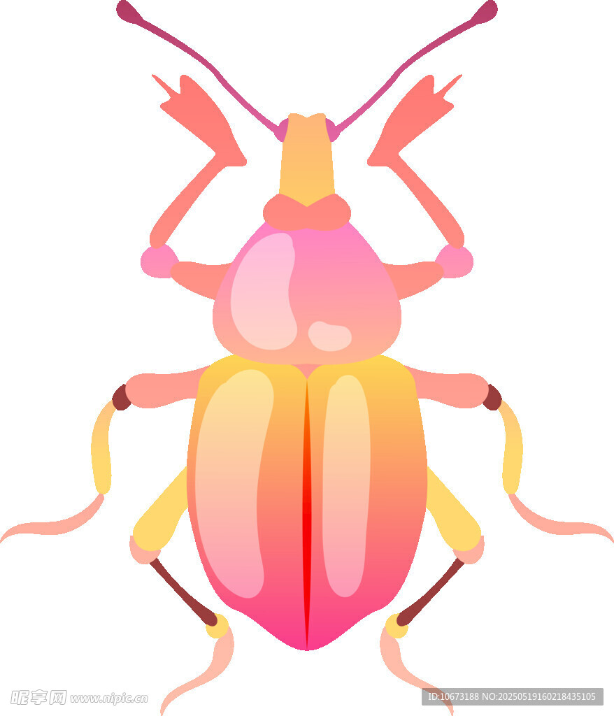 彩色甲蟲插畫