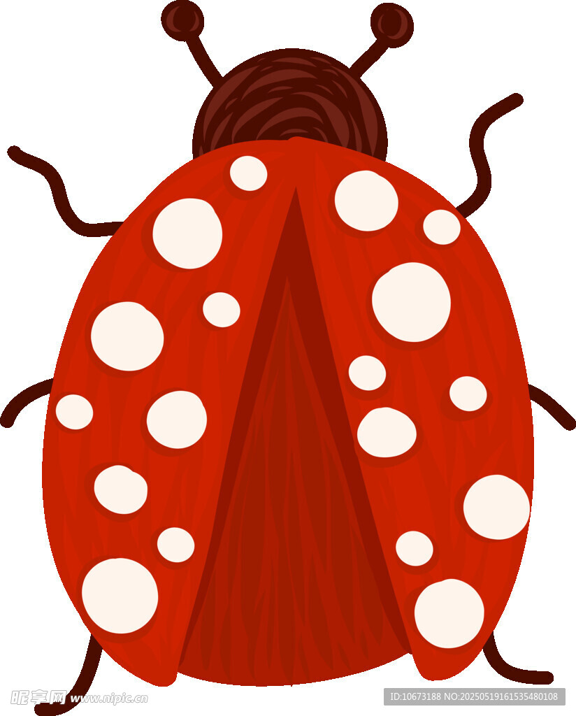 紅色斑點瓢蟲插畫
