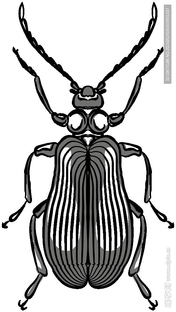 復古風格甲蟲插畫