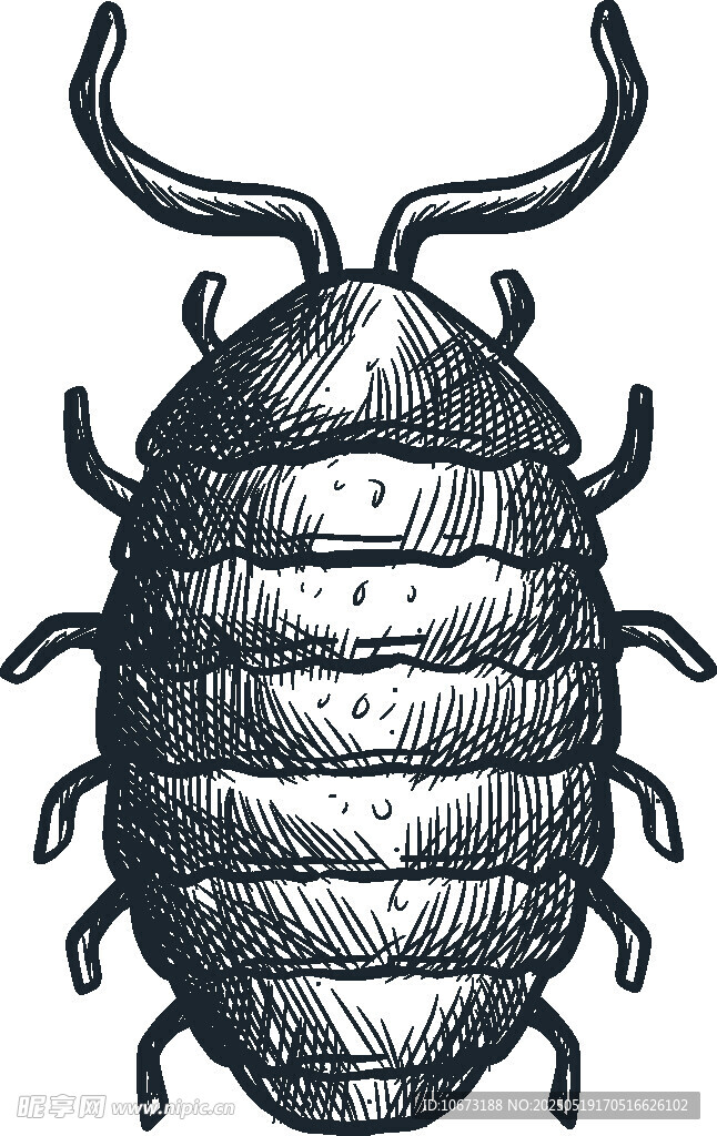 手繪潮蟲(chóng)形象插畫(huà)