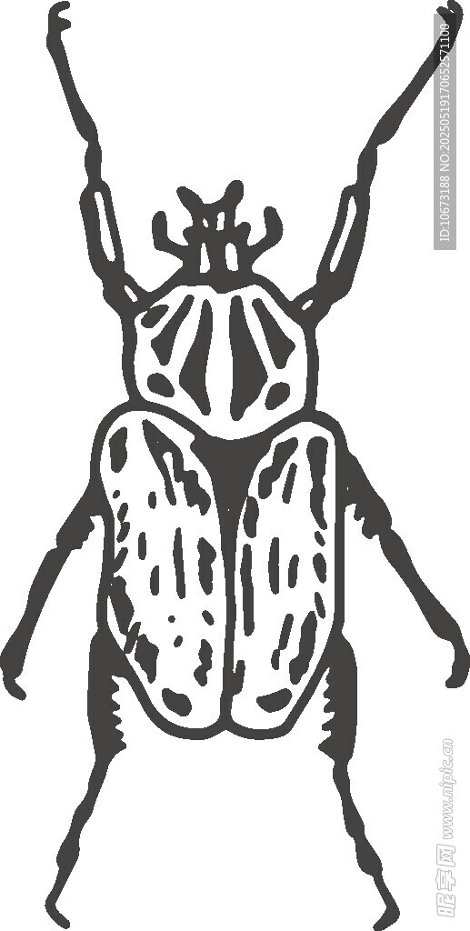 甲蟲黑白插畫圖案設計