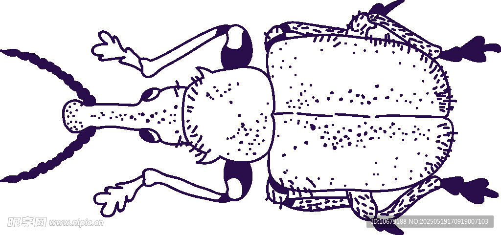 甲蟲插畫圖