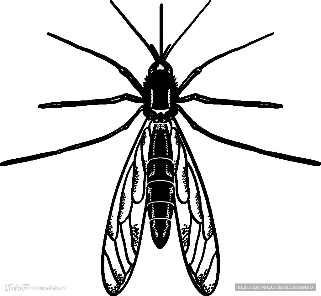黑色蚊子插畫