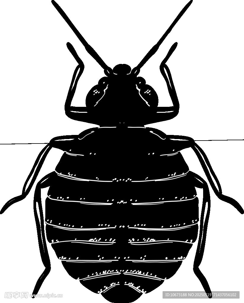 黑色甲蟲矢量插畫