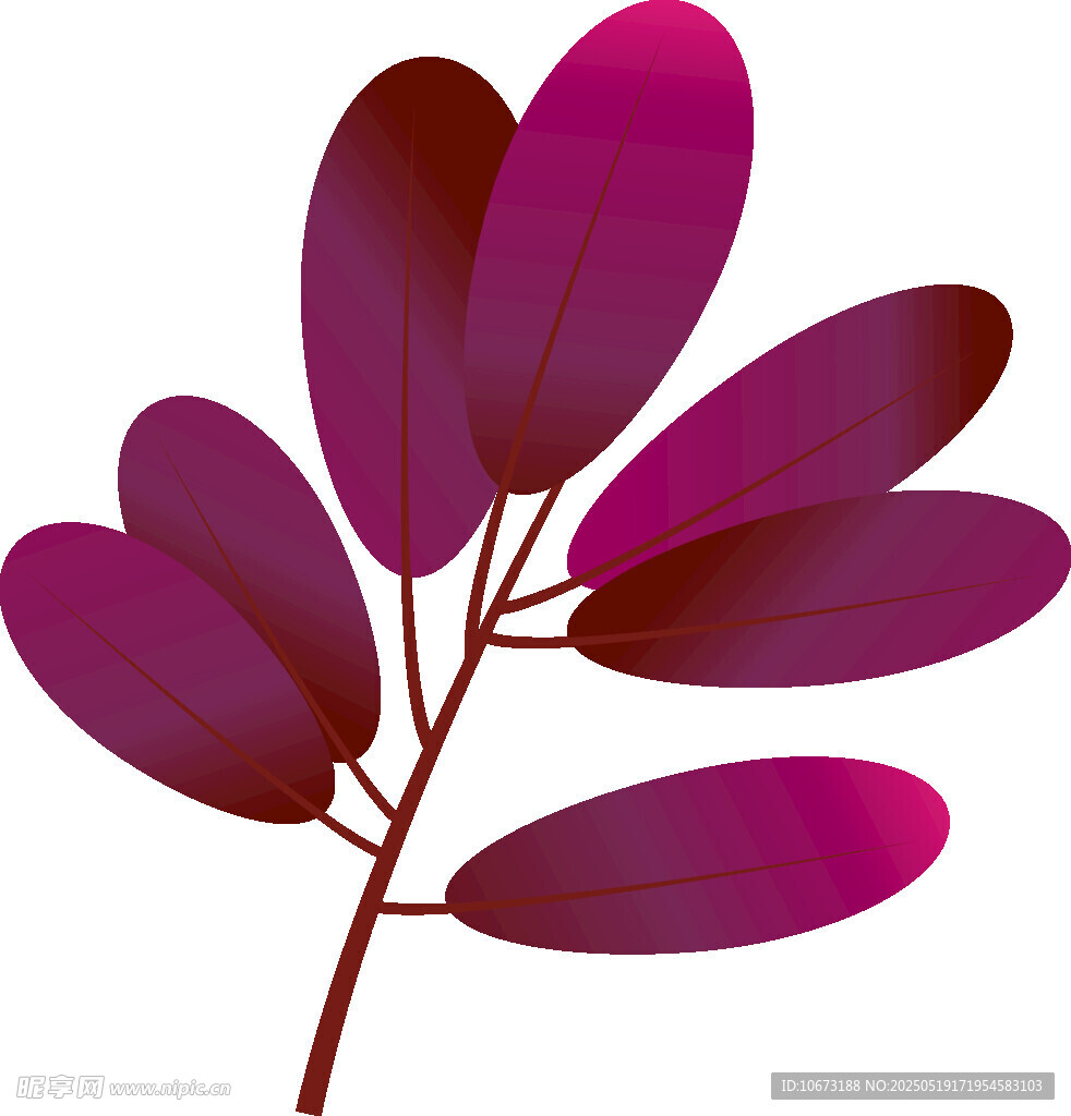 紫色葉片植物插畫素材