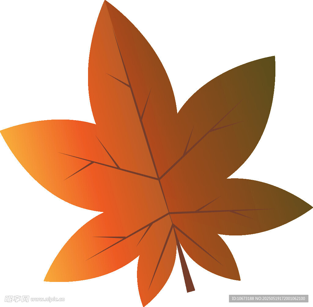 橙紅色楓葉圖案