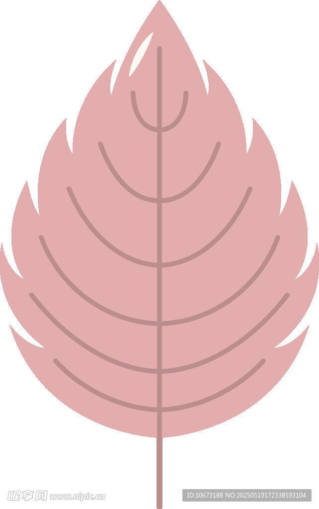 粉色葉片插畫