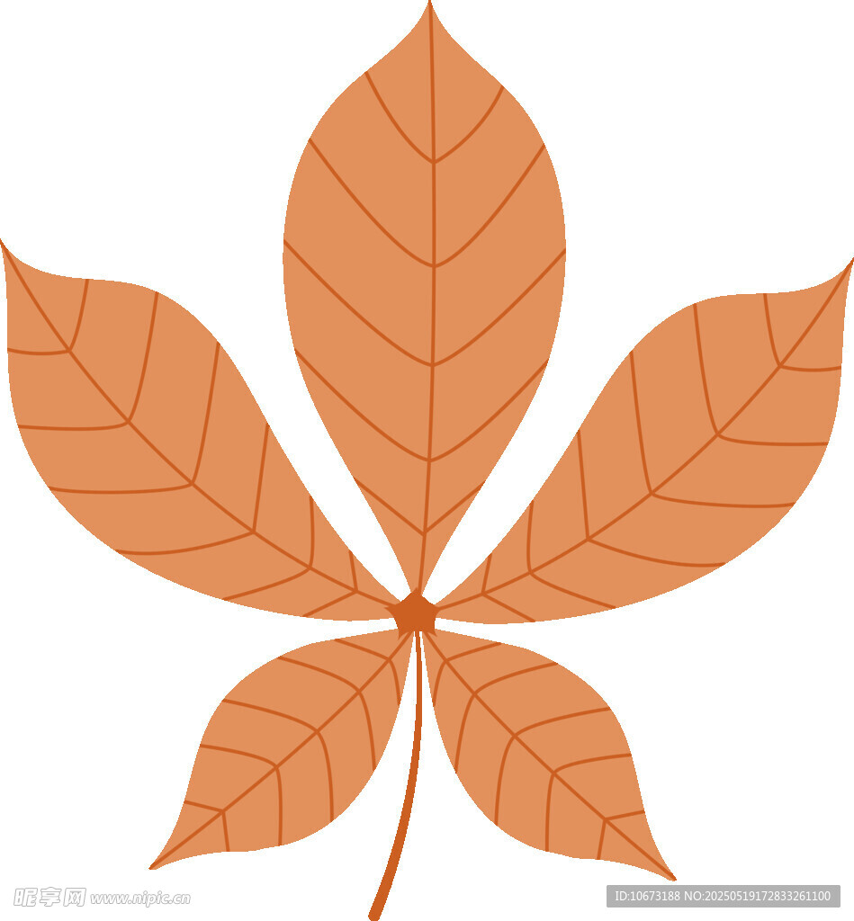 橙色掌狀葉插畫