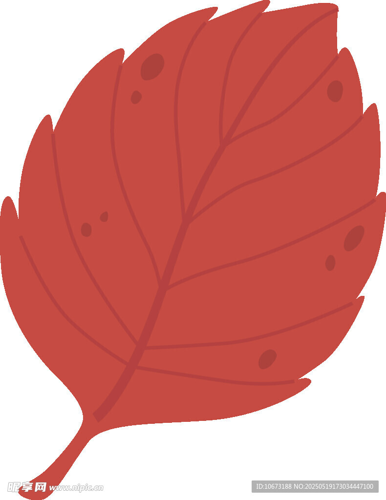 紅色葉片插畫