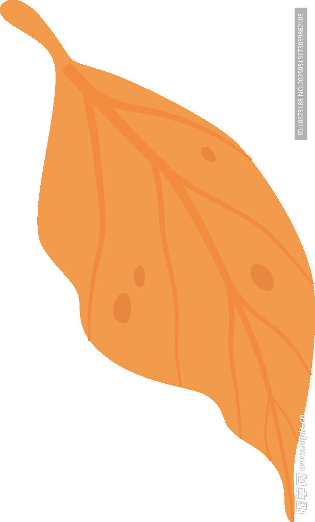 橙色葉片插畫