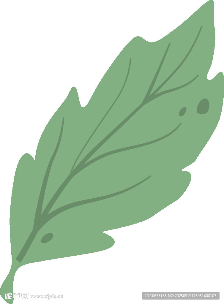 綠色單葉片插畫