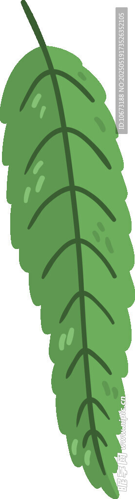兩片翠綠羽狀葉片