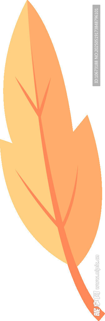 橙黃色楓葉插畫