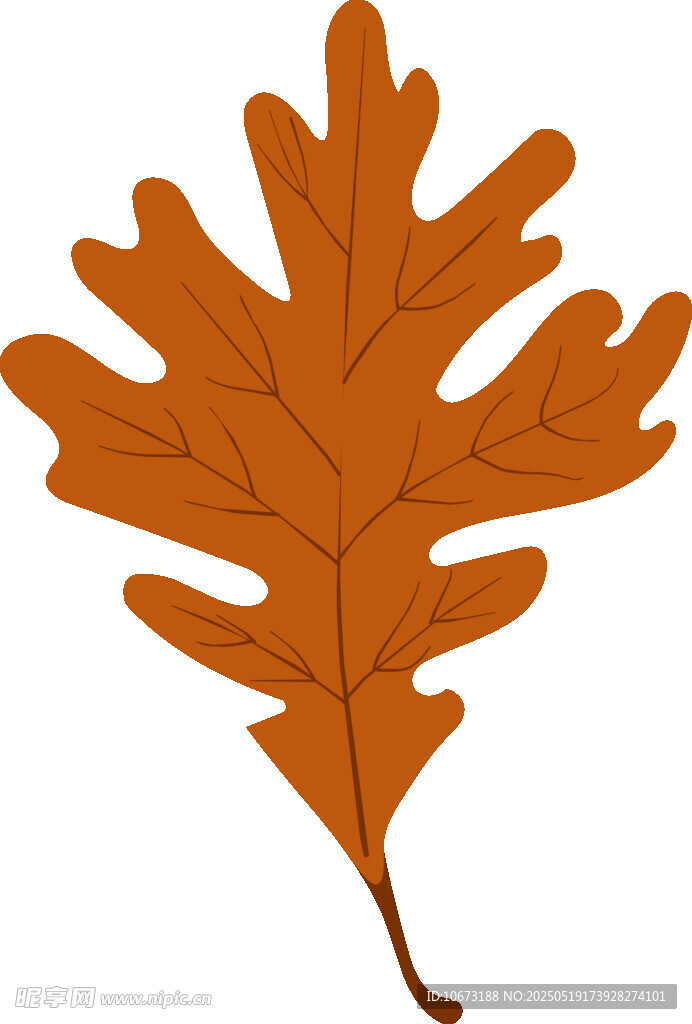 橙色橡樹葉插畫