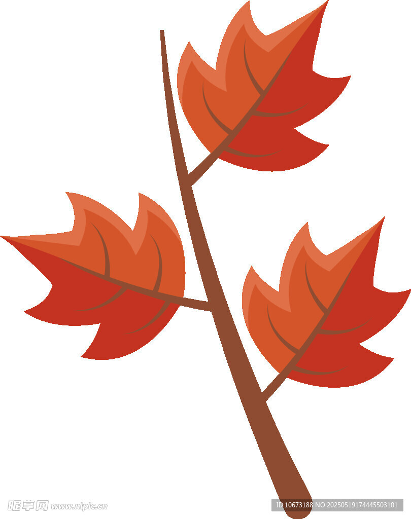 秋日紅楓葉樹枝插畫