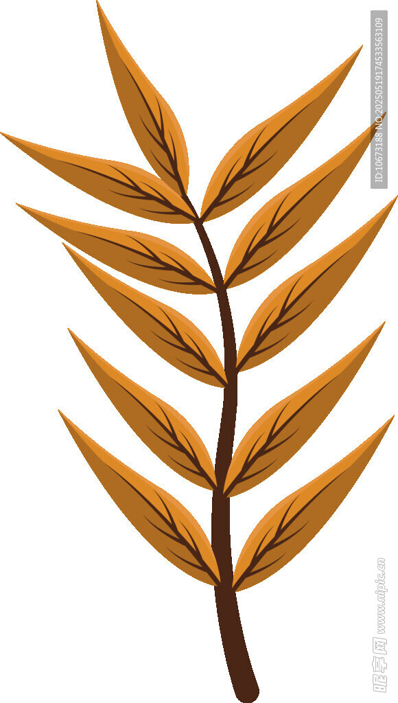 金色葉片植物插畫