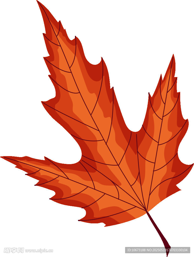 橙紅色楓葉特寫