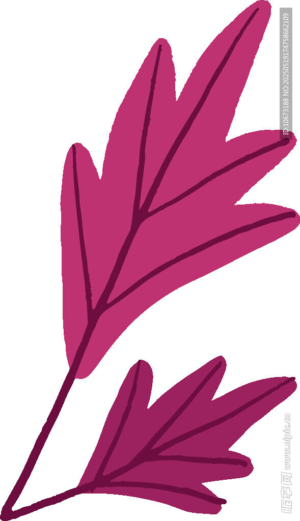 紫紅色葉片插畫(huà)