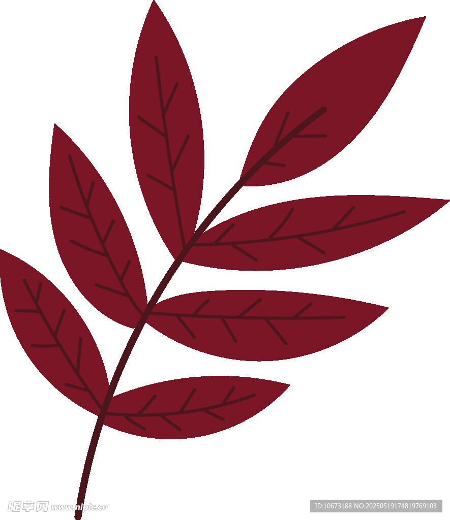 紅色葉片插畫