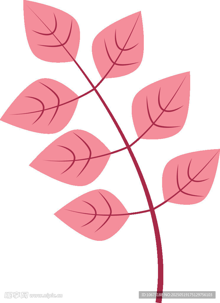 粉色葉片植物插畫