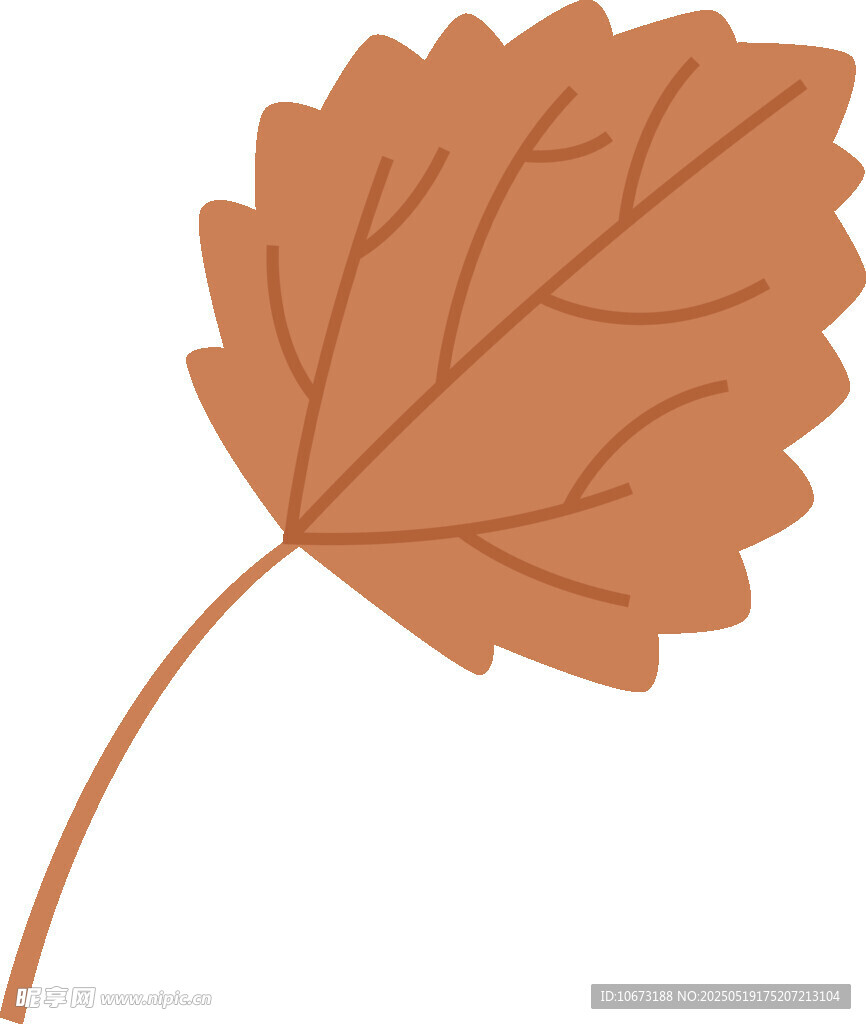 橙色葉片插畫