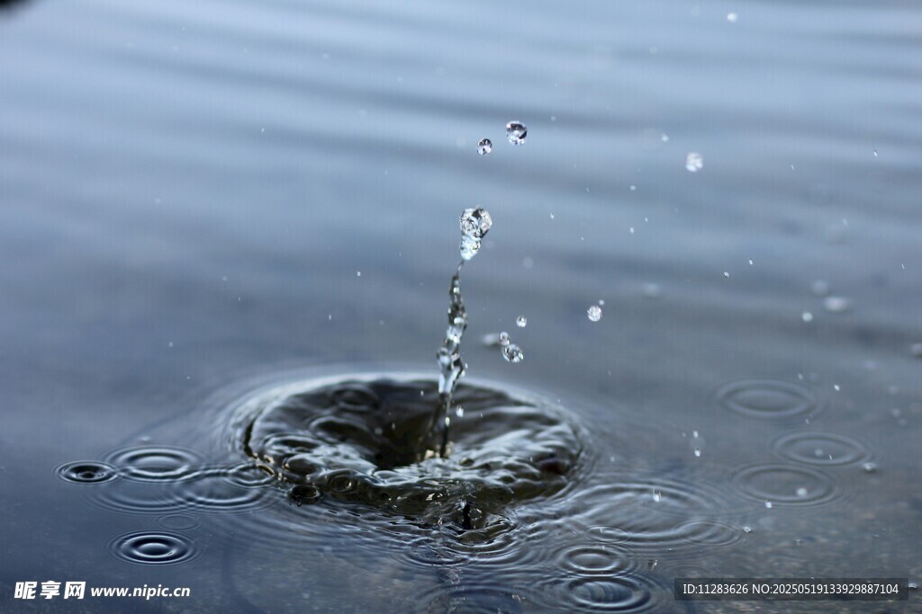 雨滴入水濺起美麗水花