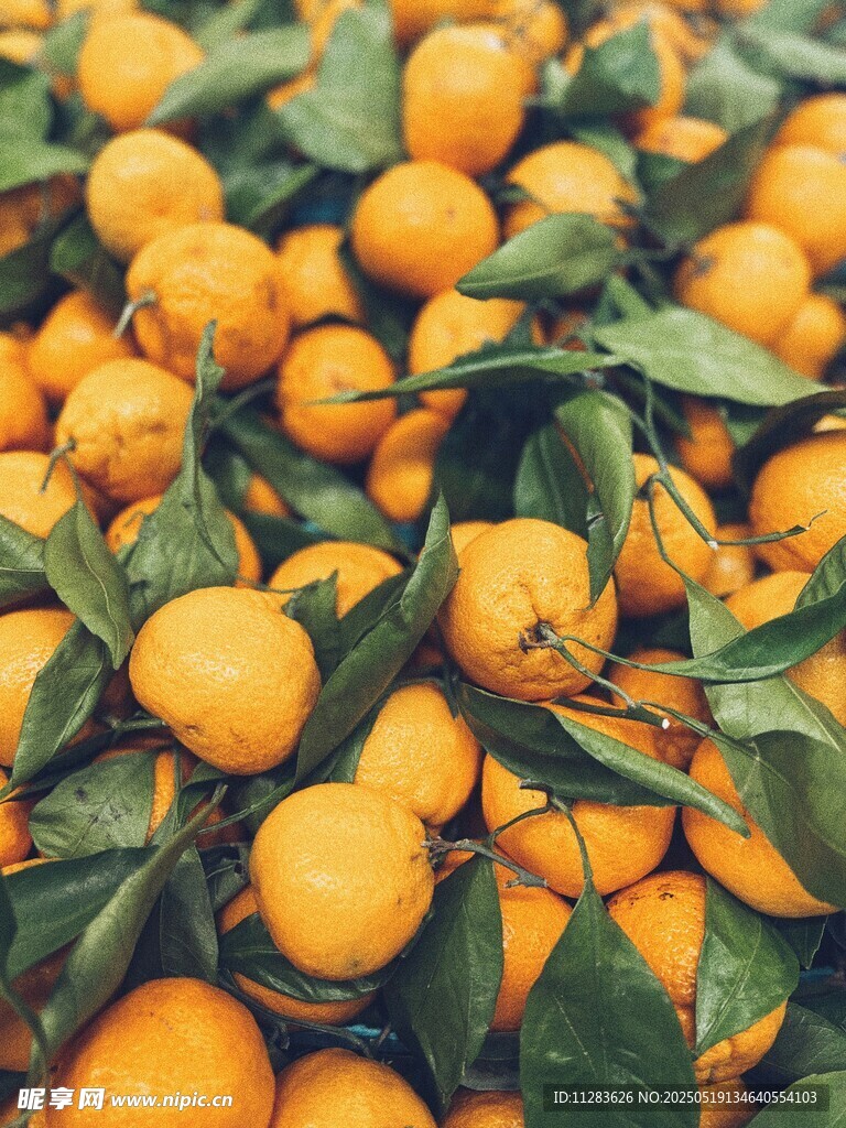 飽滿橘子帶葉堆成小山