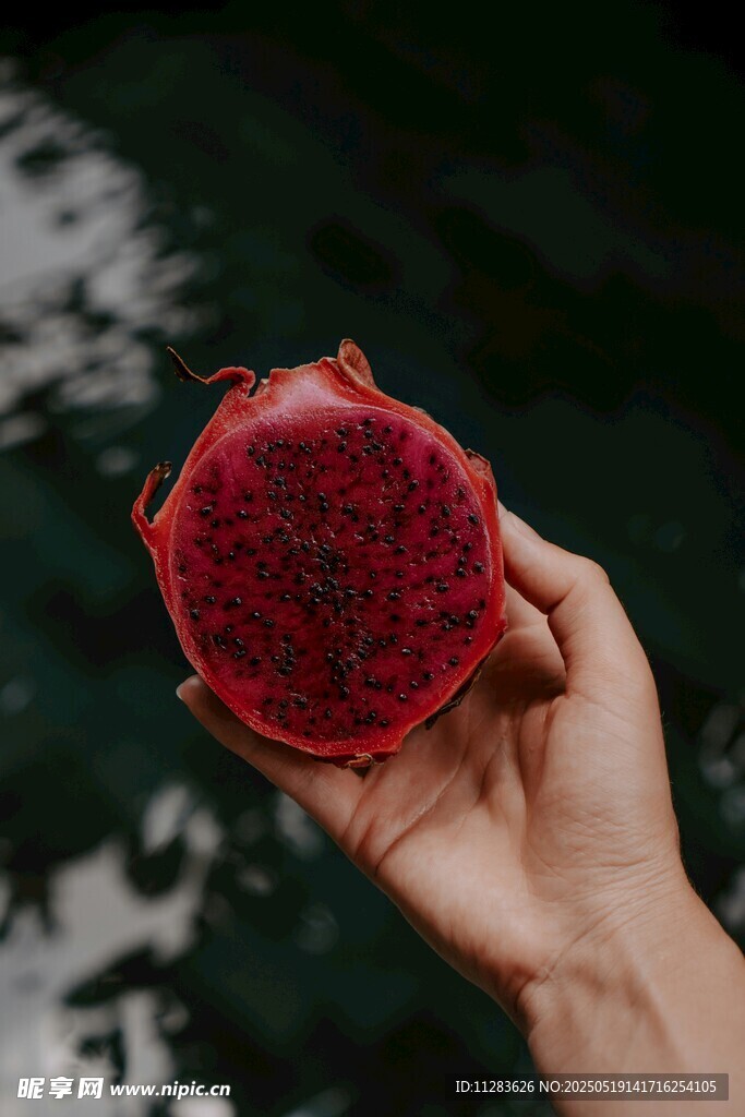 手捧鮮紅多汁火龍果