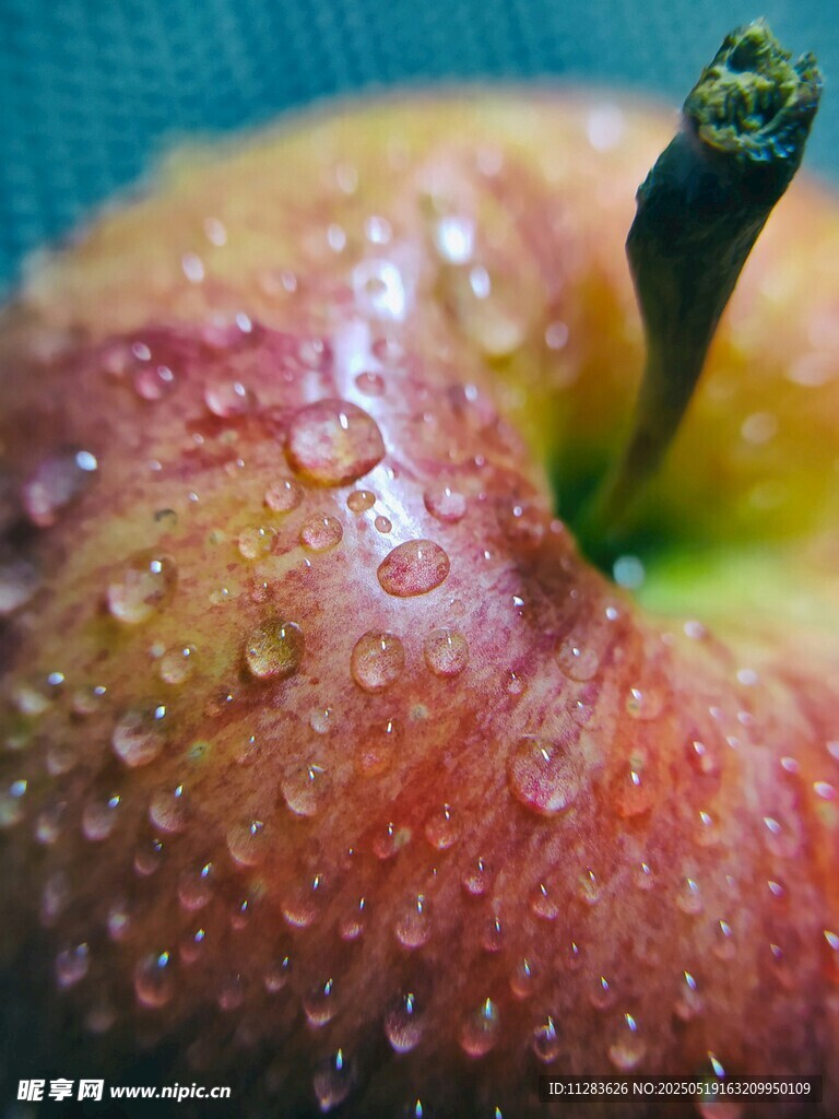 帶水珠的紅蘋果特寫