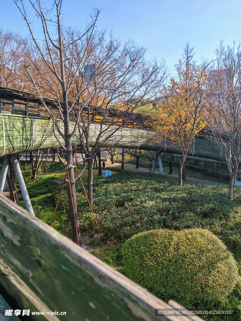 日式園林景觀精致景致