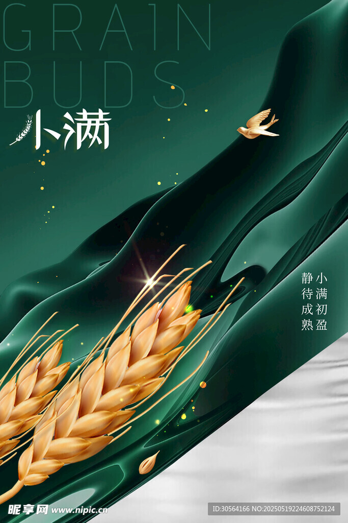 小滿節氣海報