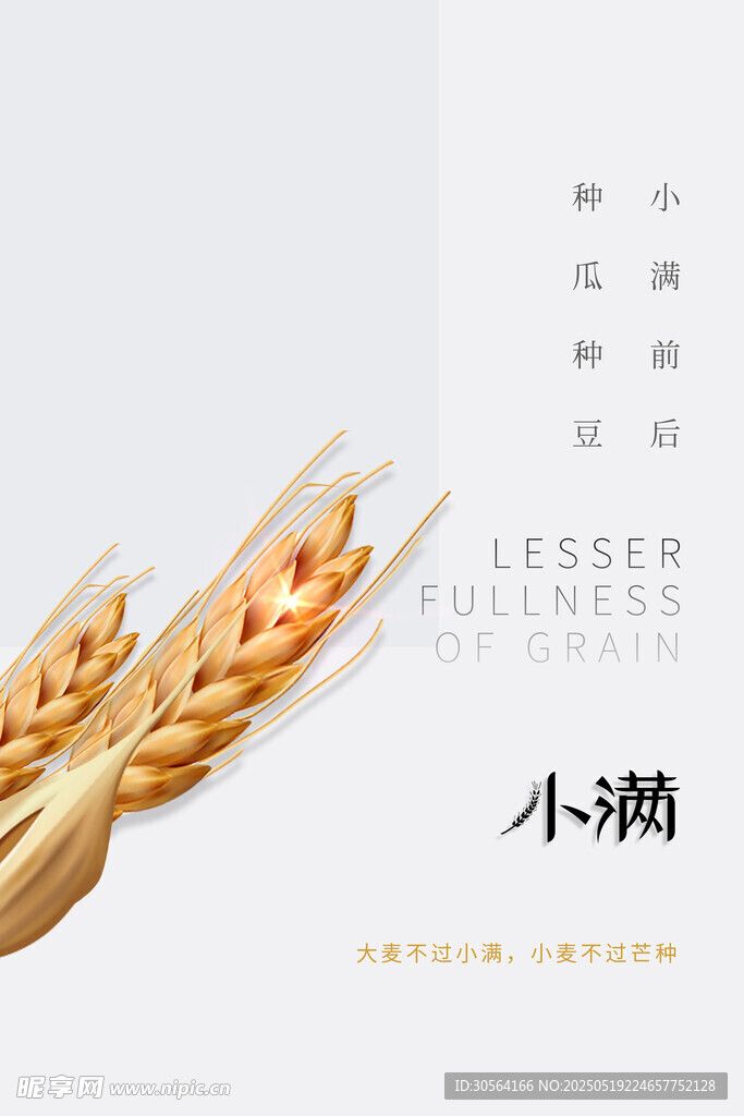小滿節氣海報