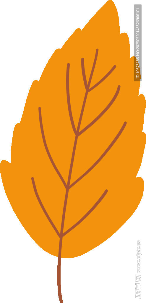 黃色楓葉插畫