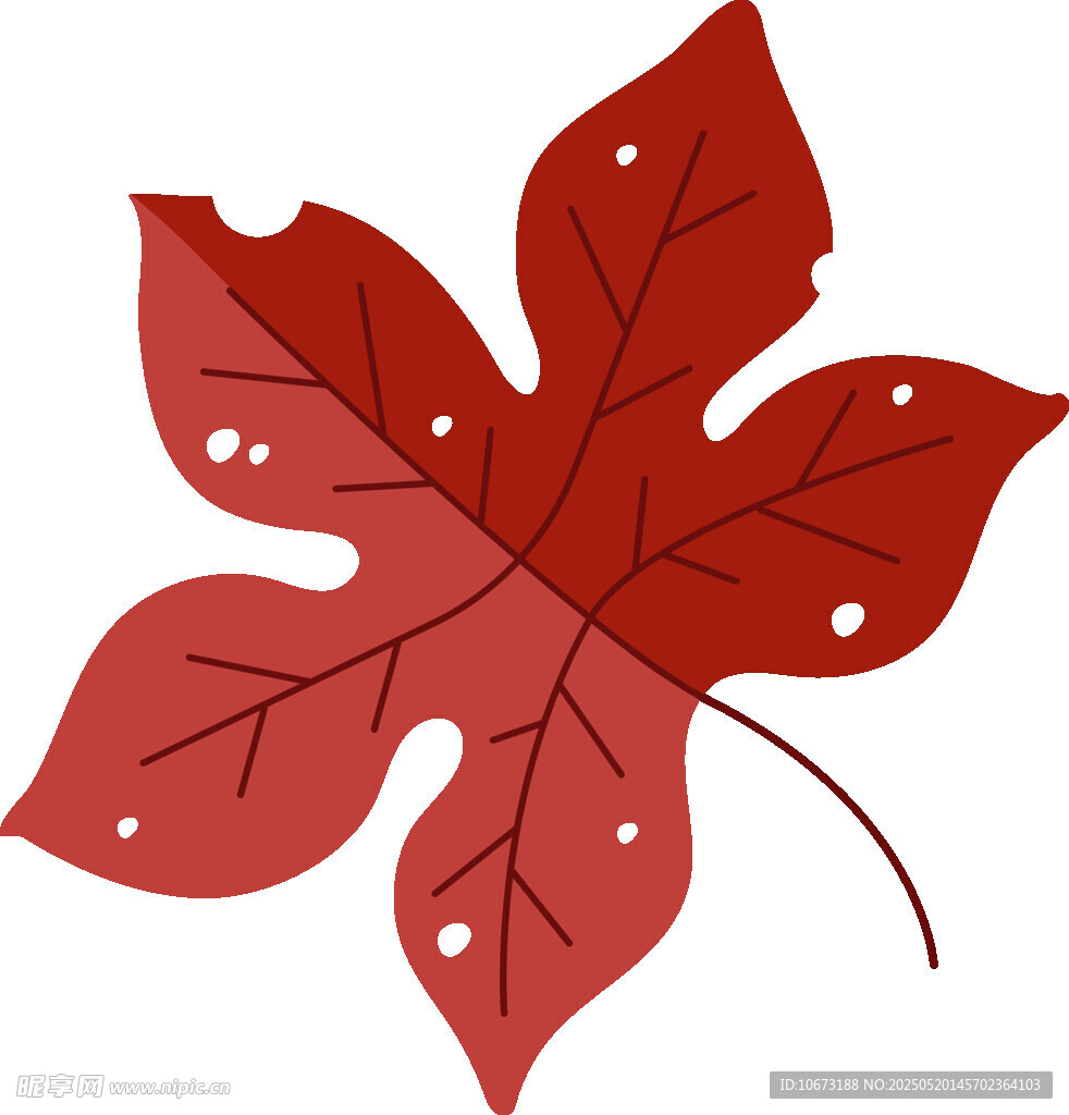 紅色楓葉插畫
