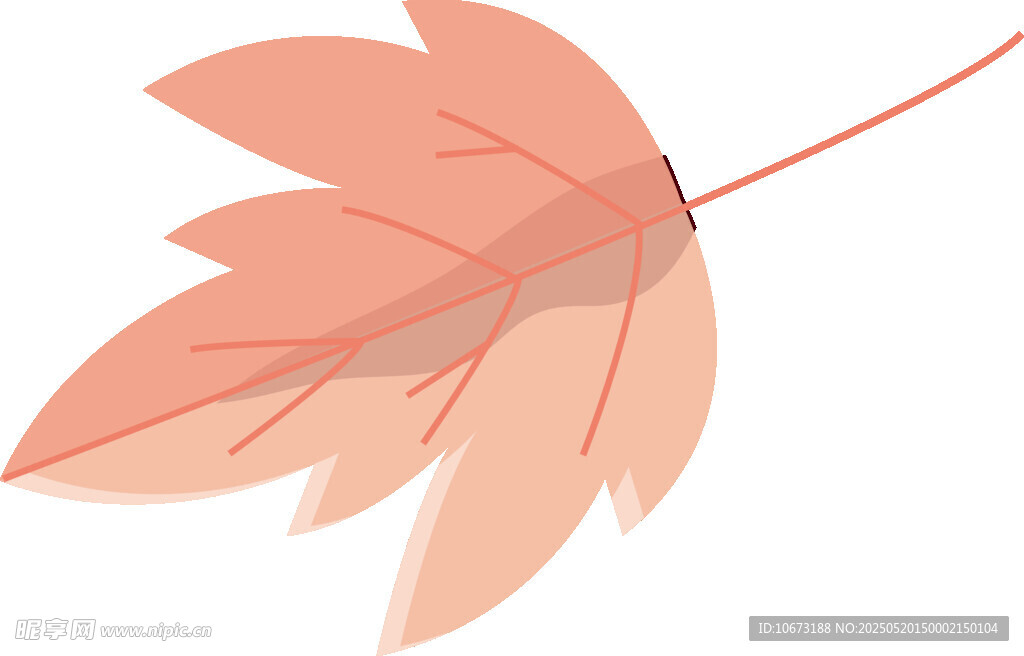橙紅色楓葉插畫