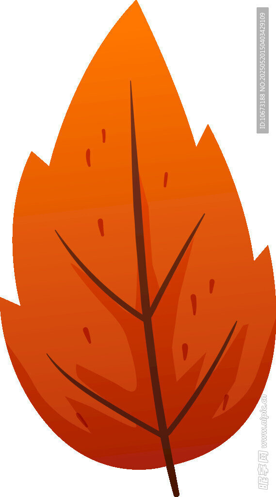 橙紅色楓葉插畫