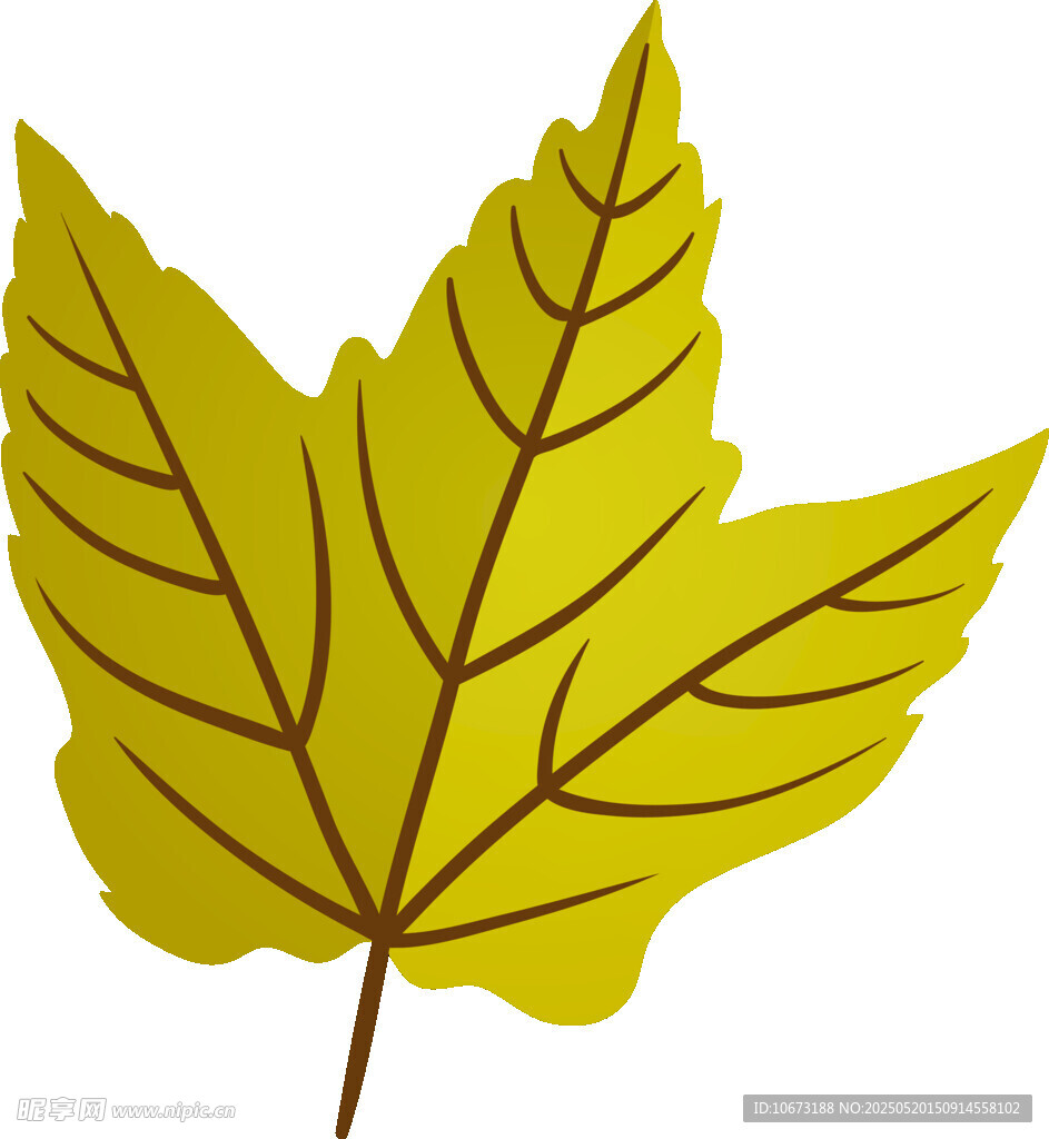 黃色楓葉插畫(huà)