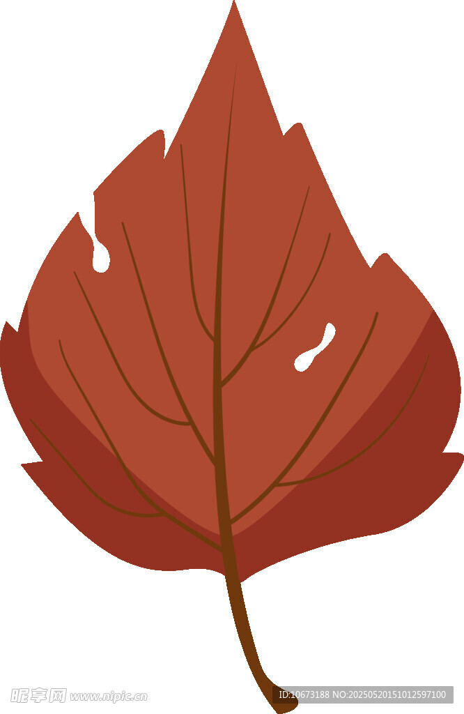 紅色楓葉插畫