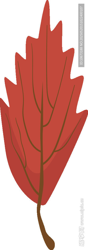 紅色楓葉插畫
