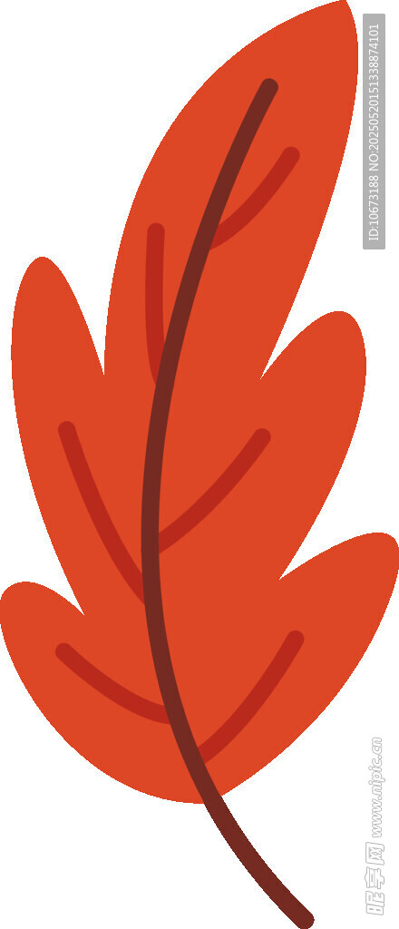 橙紅色楓葉插畫