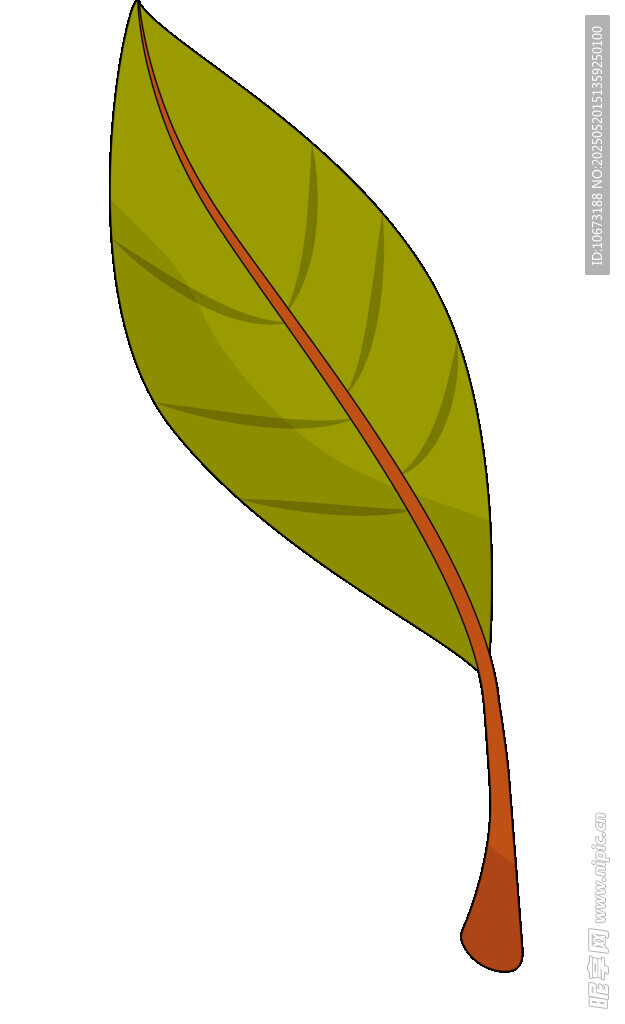 綠色單葉插畫