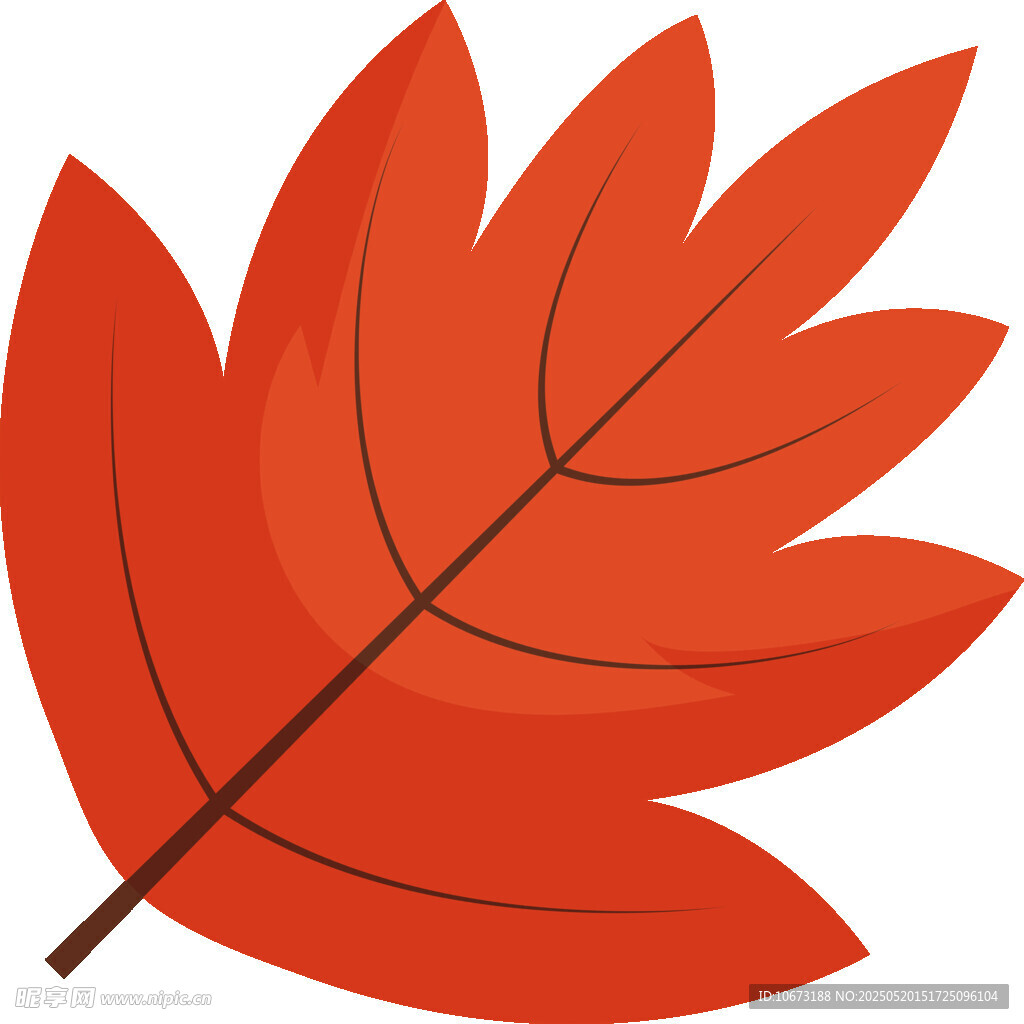 紅色楓葉插畫