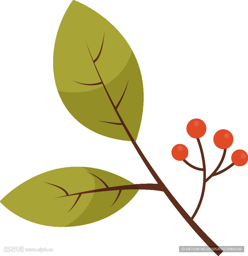 綠葉紅果植物插畫