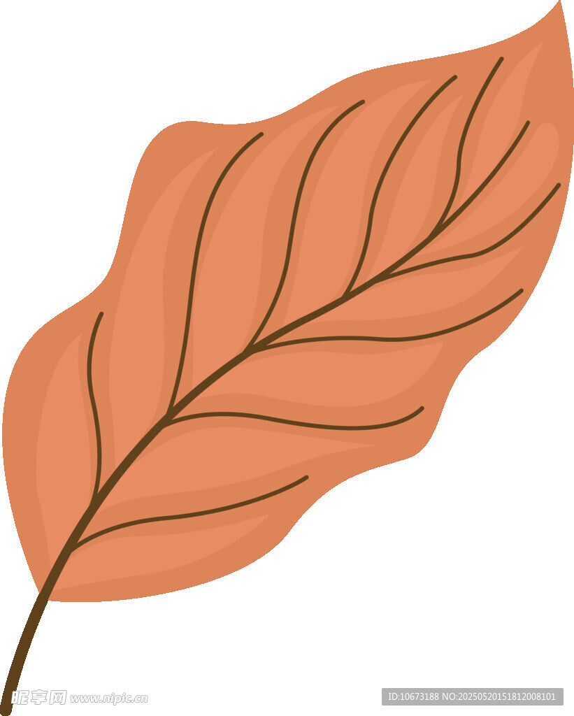 橙色葉片插畫