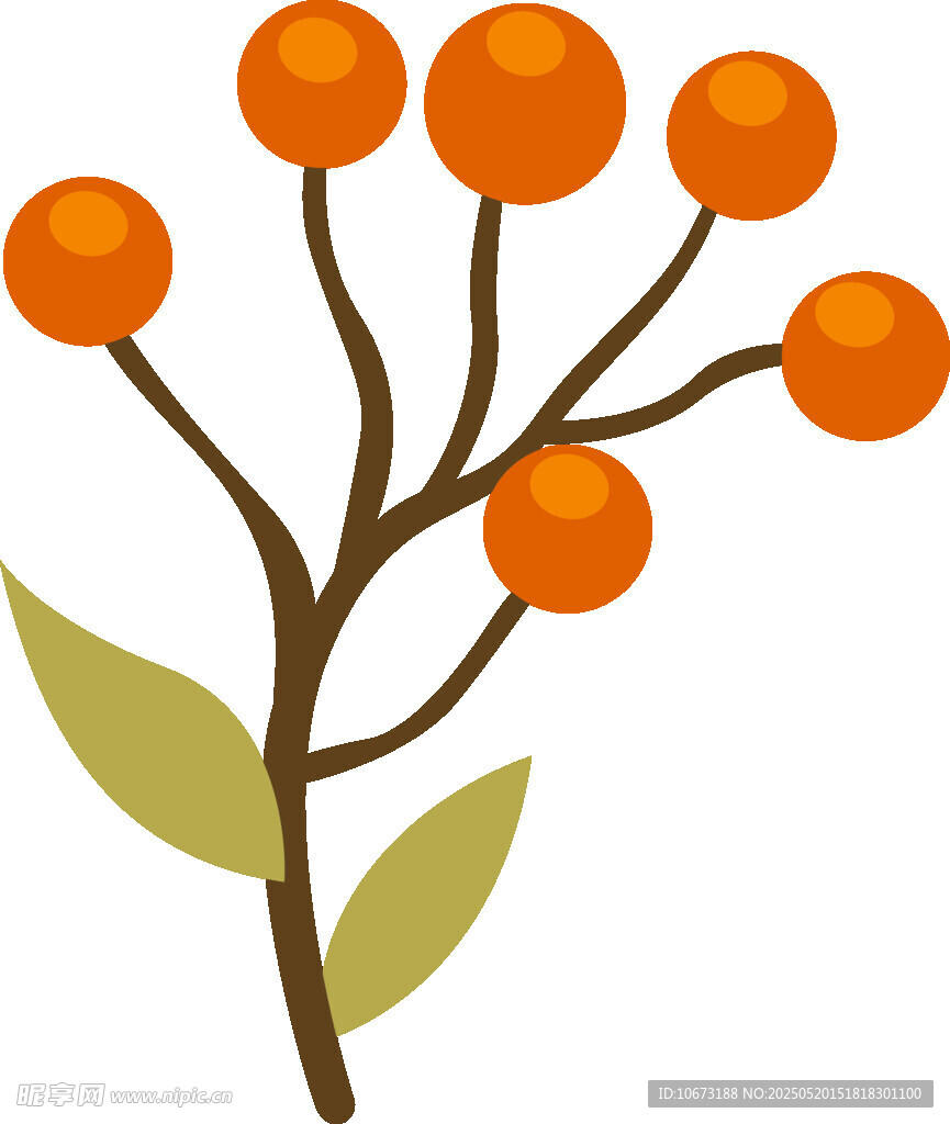 橙色漿果植物插畫