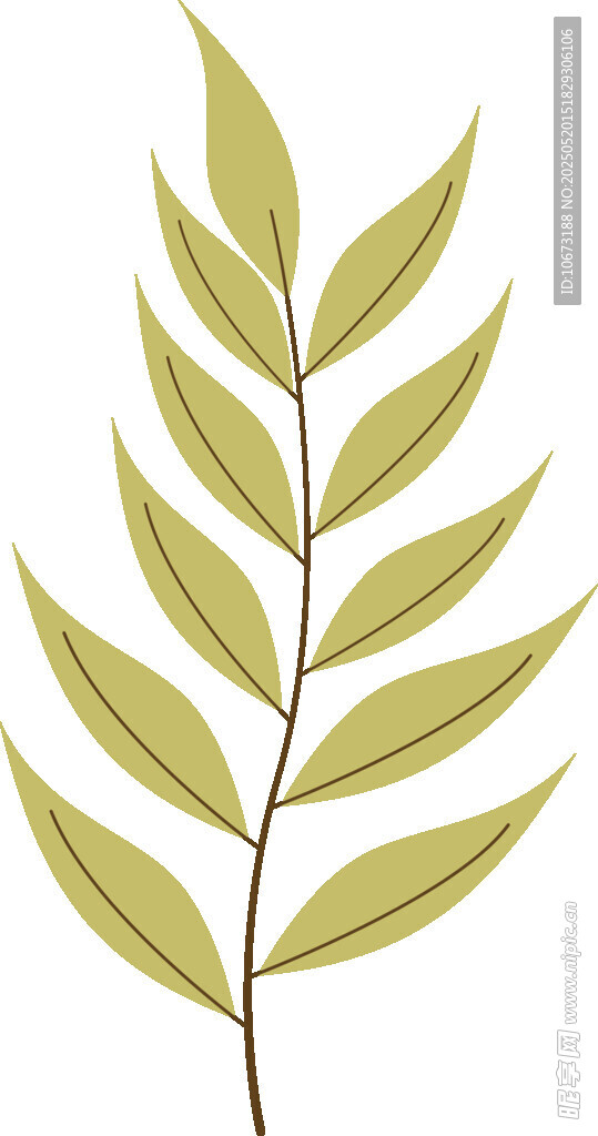 單枝黃綠葉片插畫