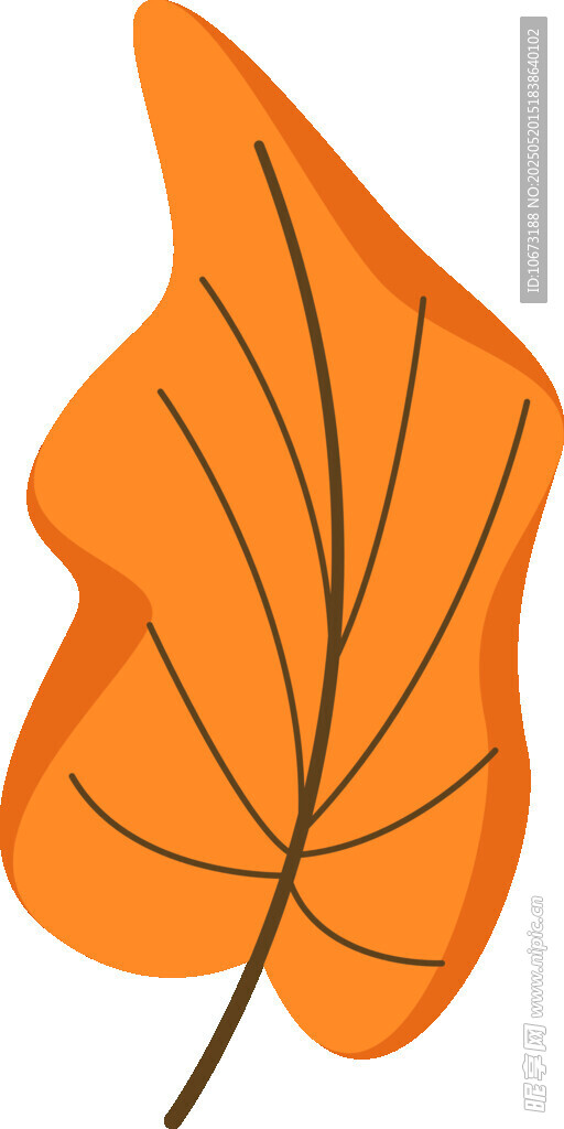 橙色楓葉插畫