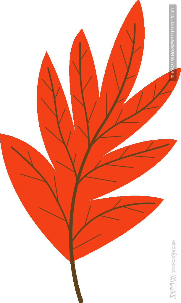 紅色單葉插畫
