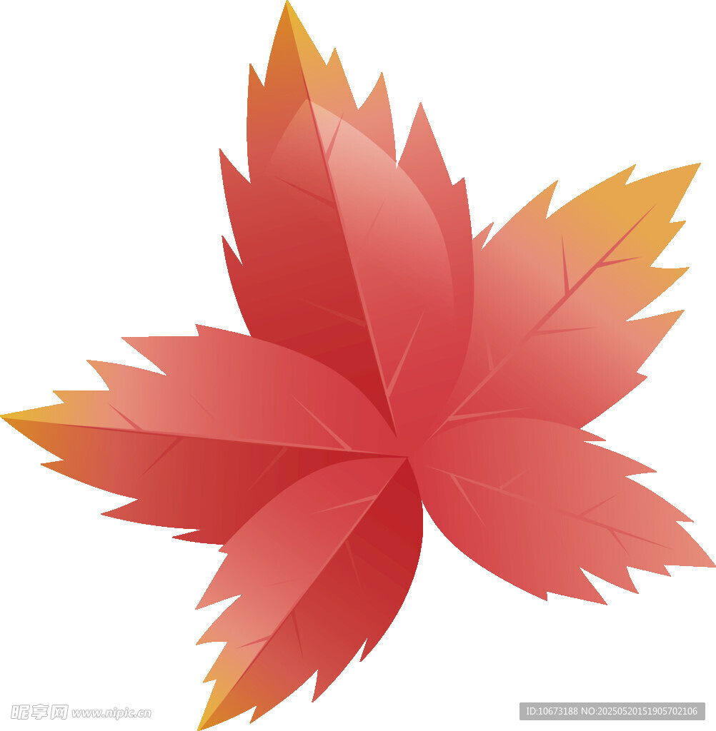 紅色楓葉插畫